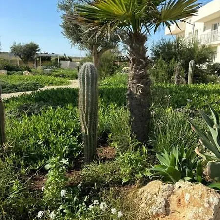 Lady Tatil Evi Marzamemi